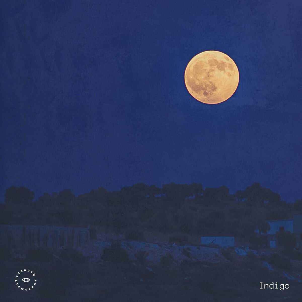 Album cover of Indigo