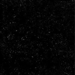 Cover of Stay With Me