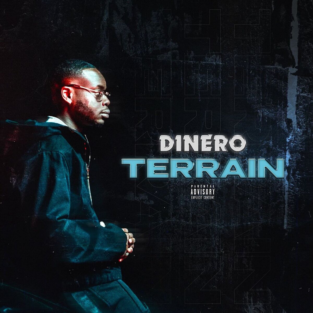 Album cover of Terrain