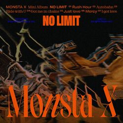 Cover of NO LIMIT
