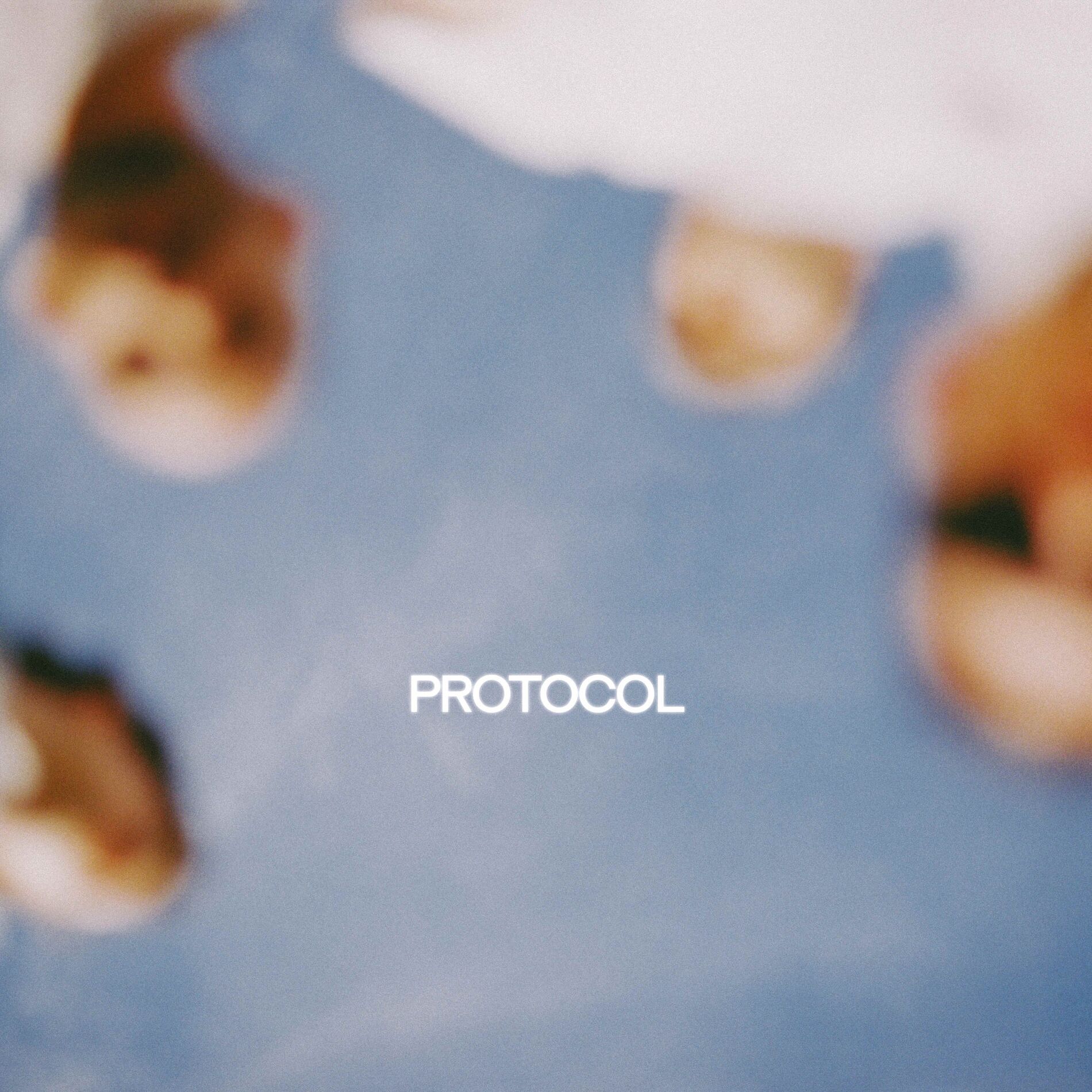 Album cover of Protocol