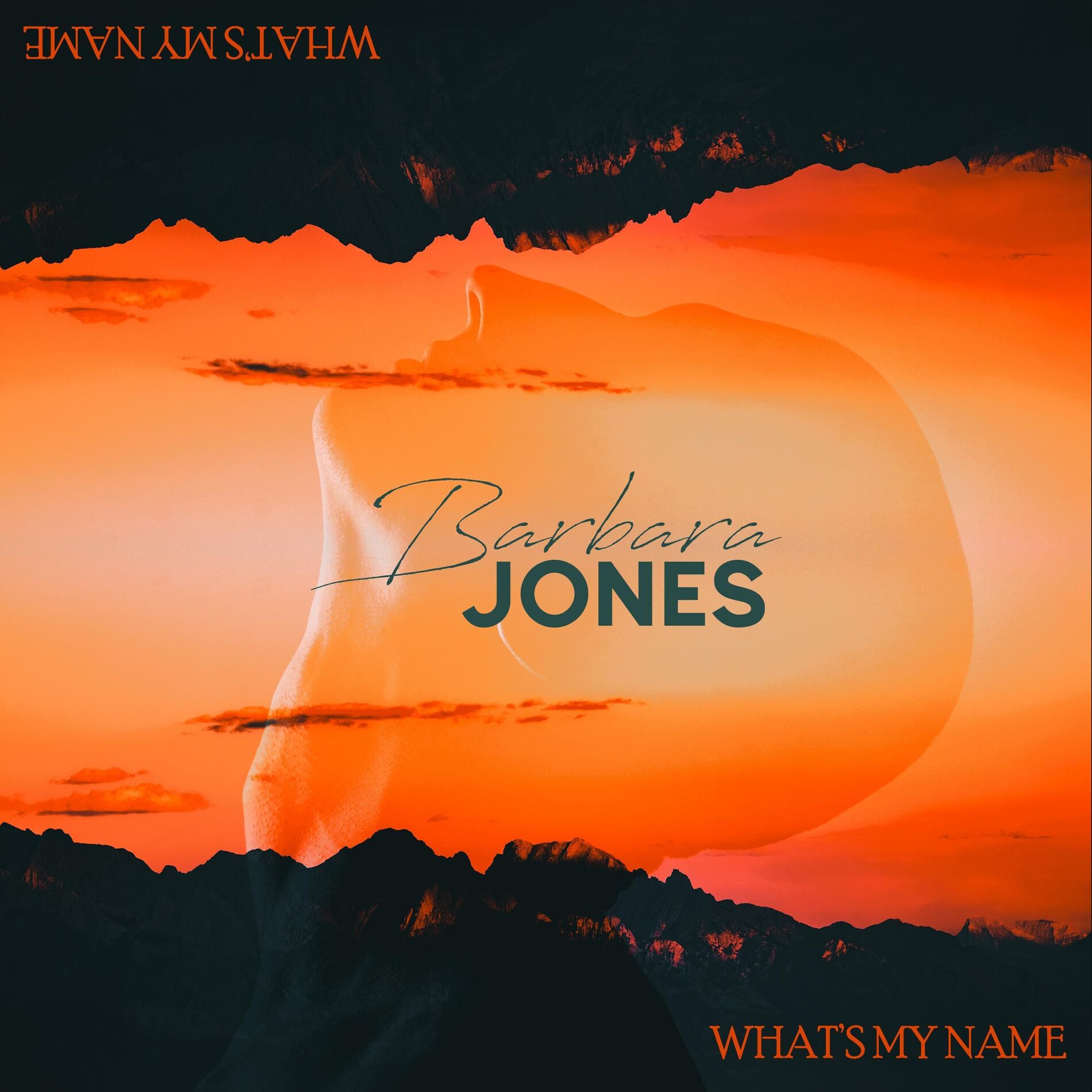 Album cover of What’s My Name