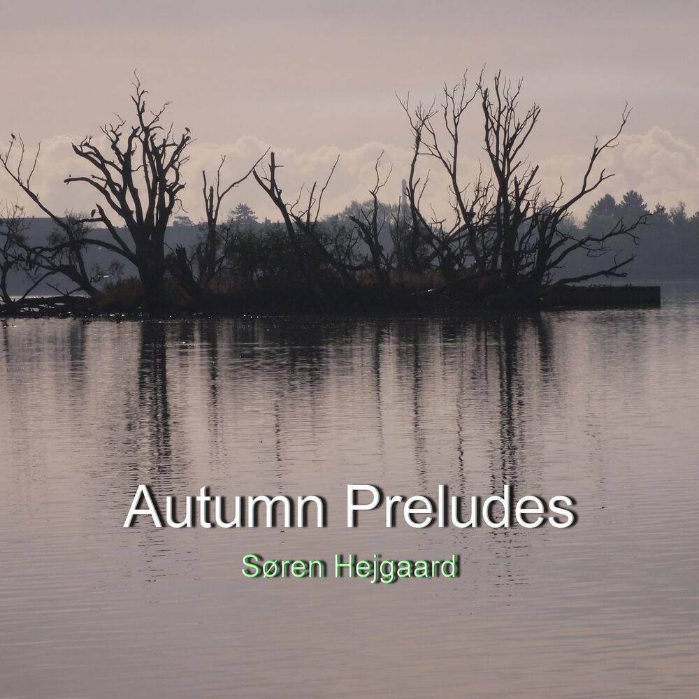 Picture of Hejgaard: Autumn Preludes