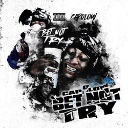 Cover of Bet Not Try