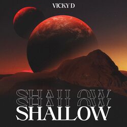 Cover of Shallow