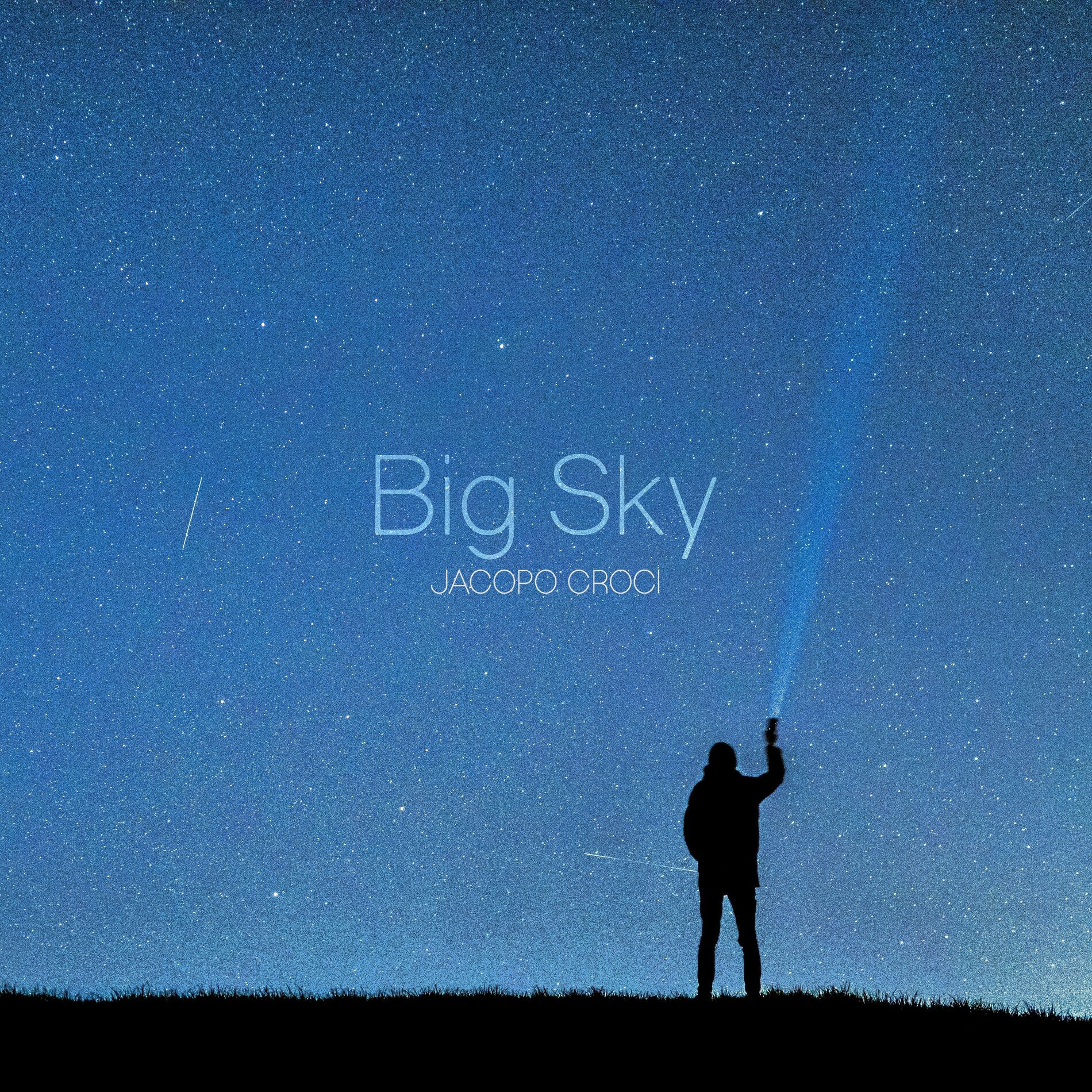 Album cover of Polaris
