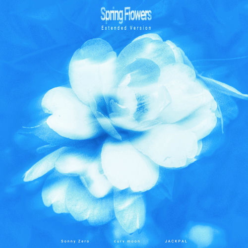 curv moon – Spring Flowers – Single