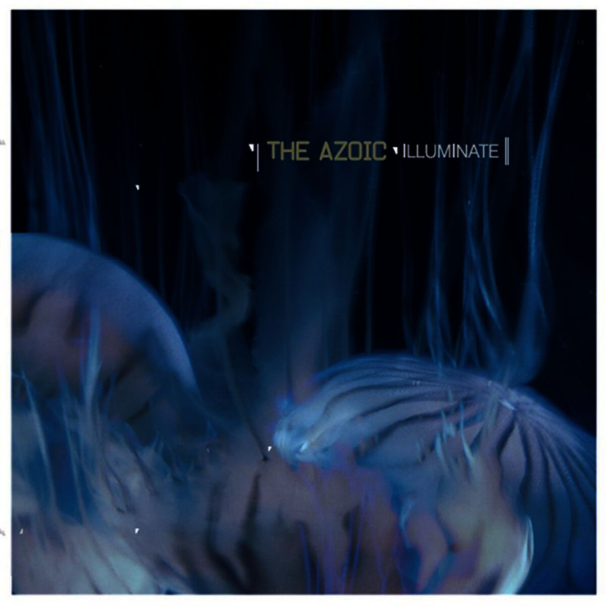 Album cover of Illuminate