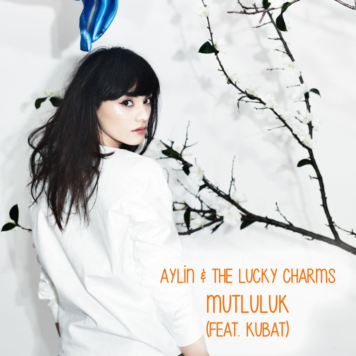 Album cover of Mutluluk