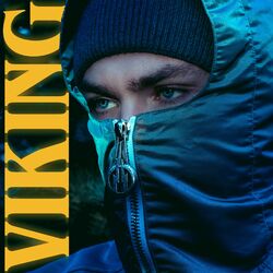 Cover of Viking