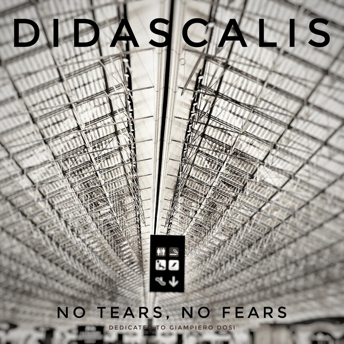 Album cover of No Tears, No Fears