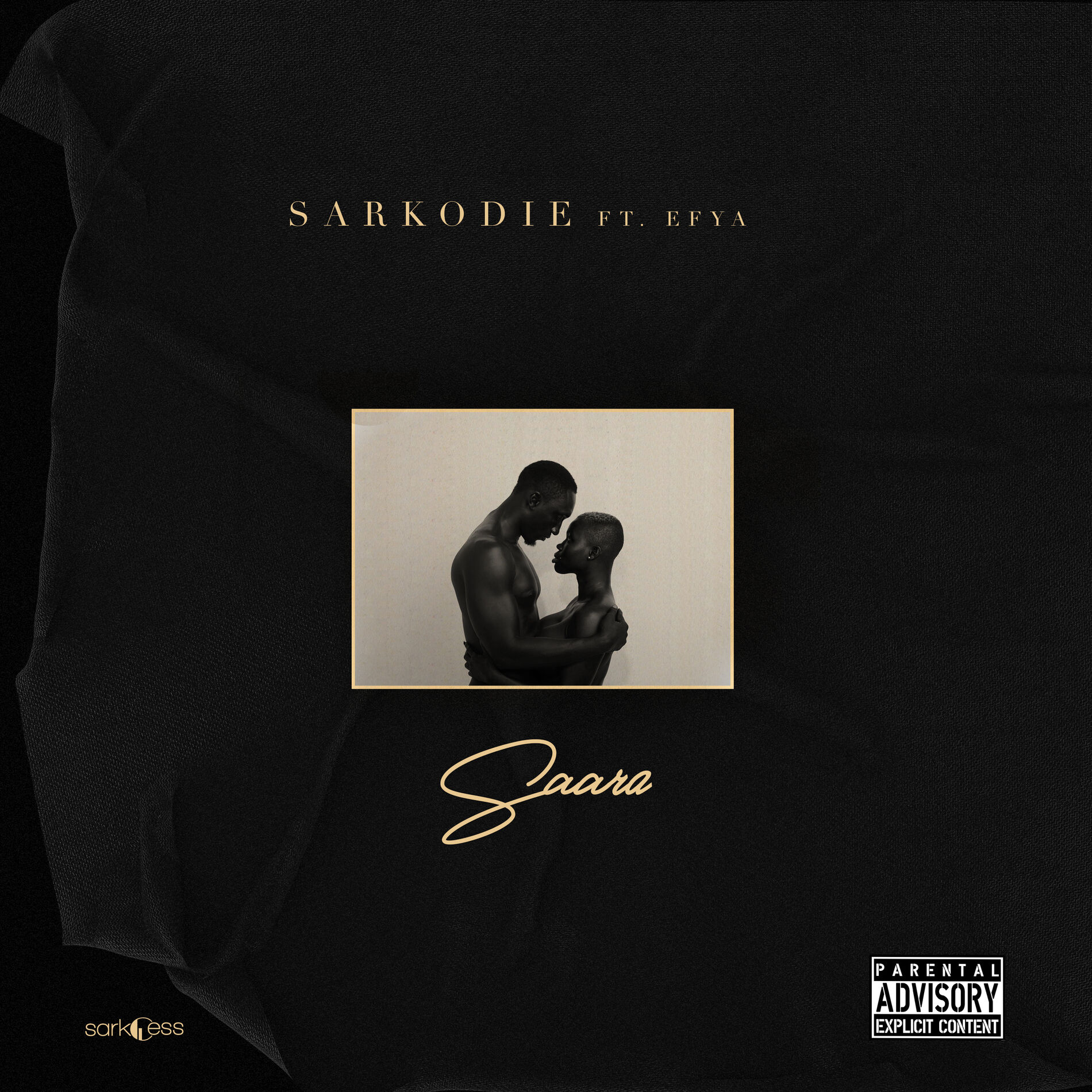 Album cover of Saara