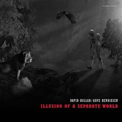 Cover of Illusion of a Separate World