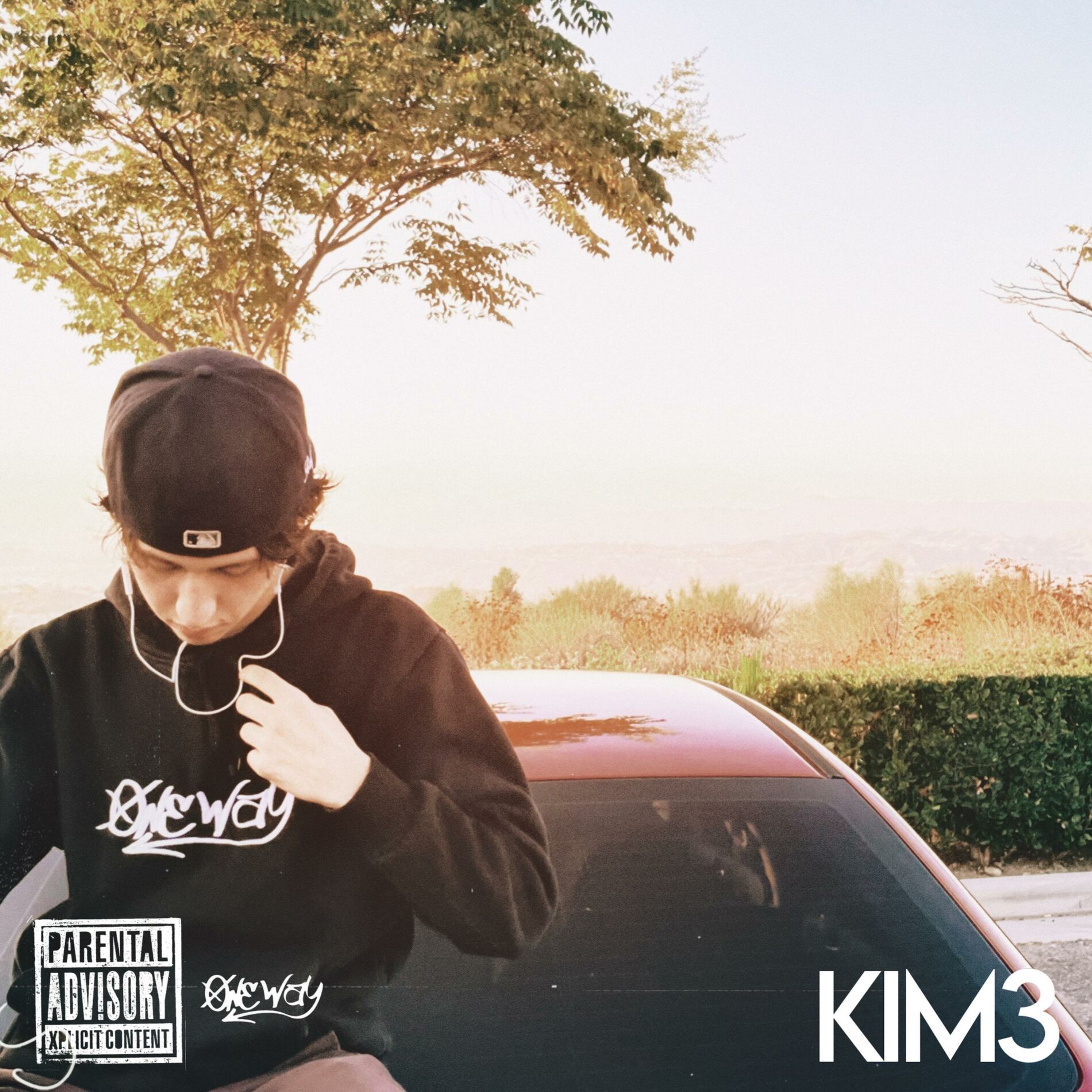 Album cover of KIM3