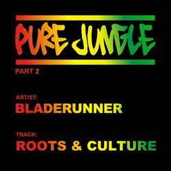 Cover of Roots & Culture