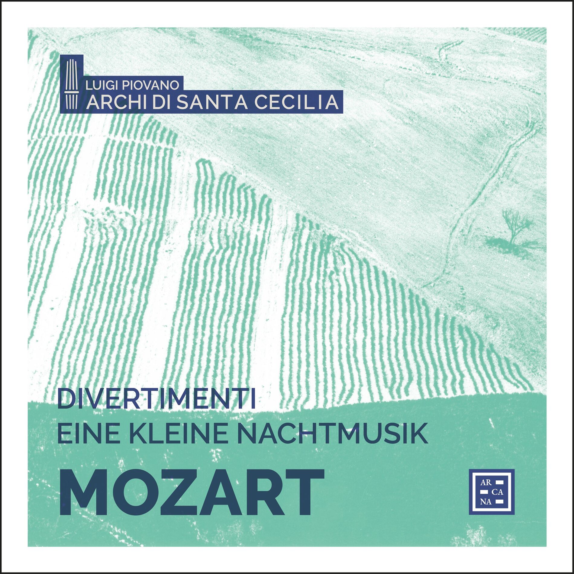 Album cover of Mozart: Divertimenti & Eine kleine Nachtmusik