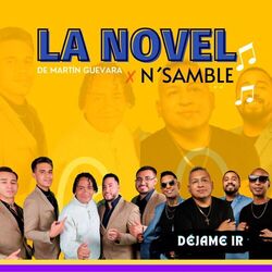 Cover of Dejame Ir
