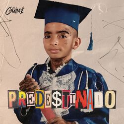 Cover of Prede$tinado