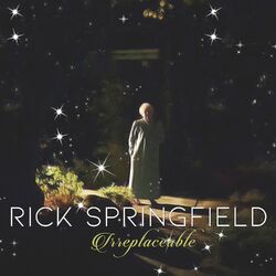 Cover of Irreplaceable