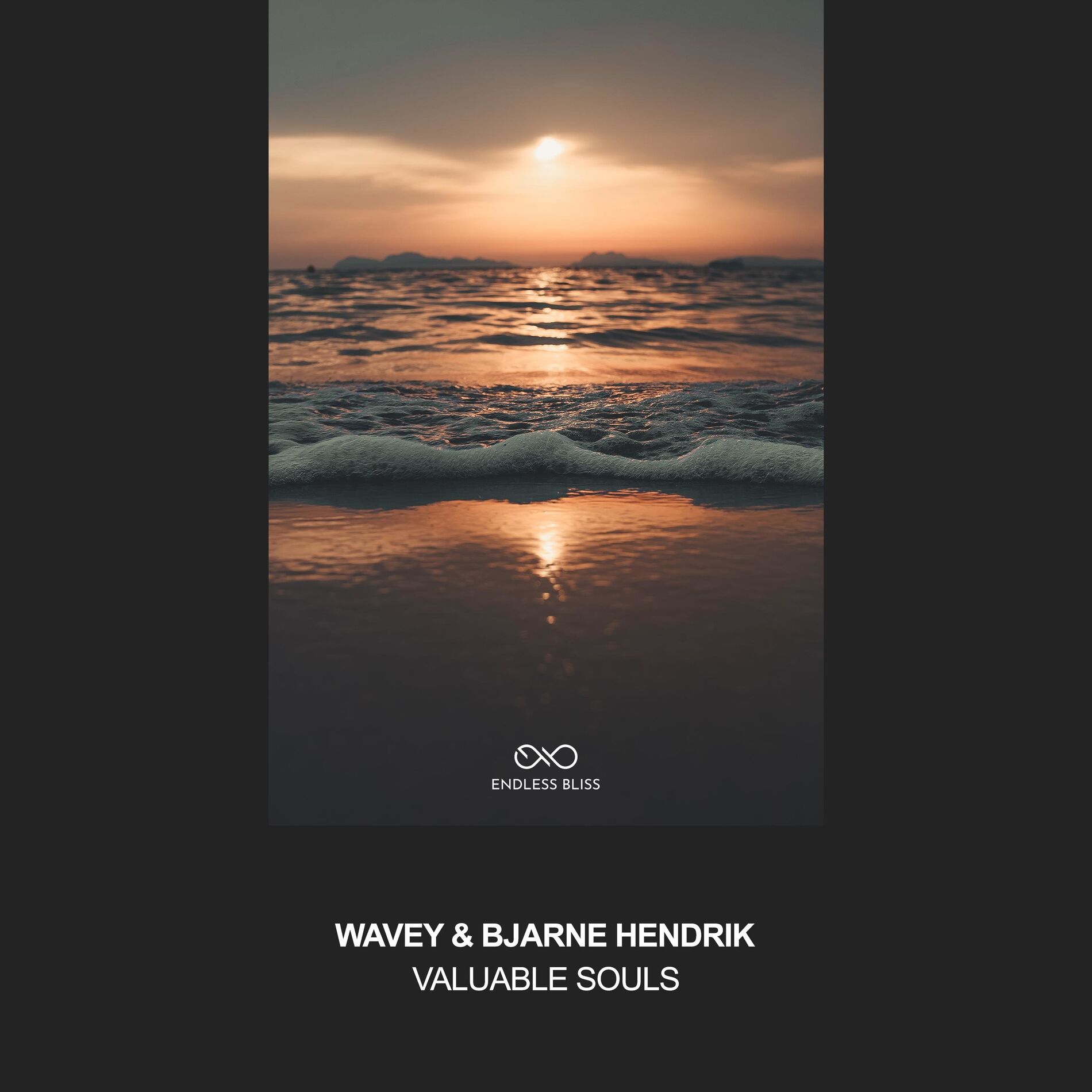 Album cover of Valuable Souls