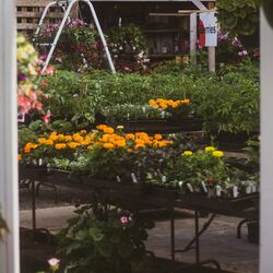 Cover of Gardens Grove