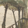 Tree Weeping (Lacrima)