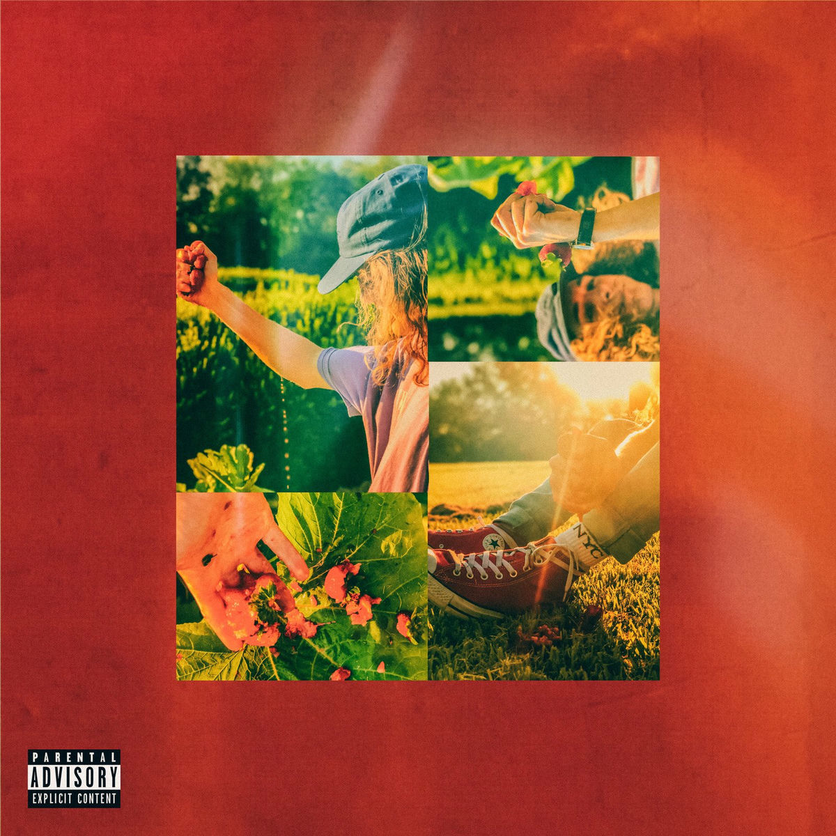 Album cover of Wild Strawberries