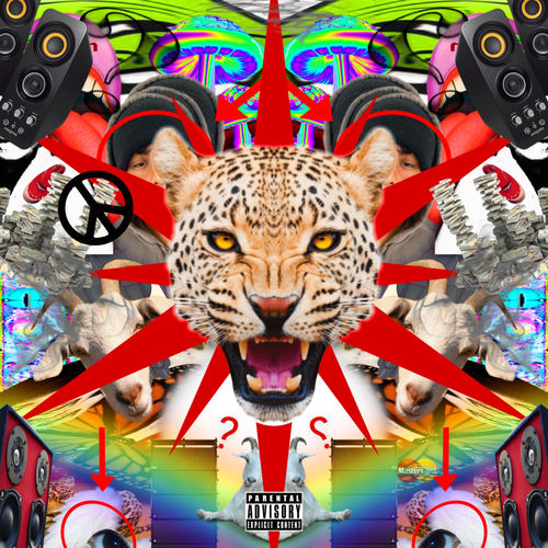 Animal Channel
