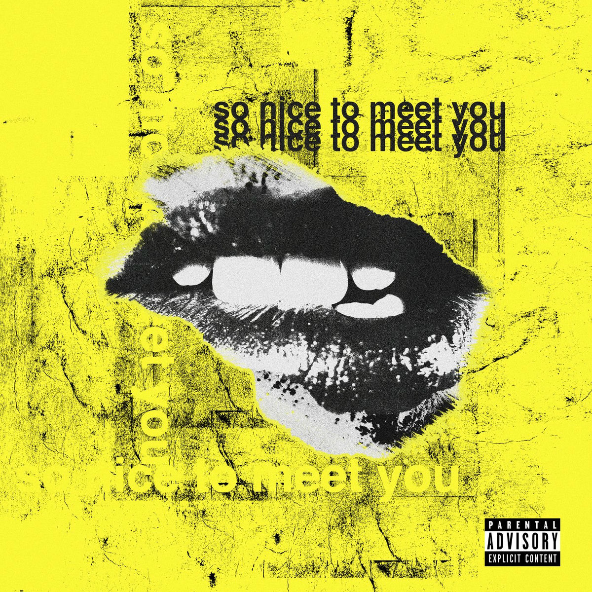 Album cover of So Nice To Meet You
