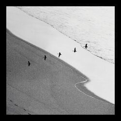 Cover of Le Manège