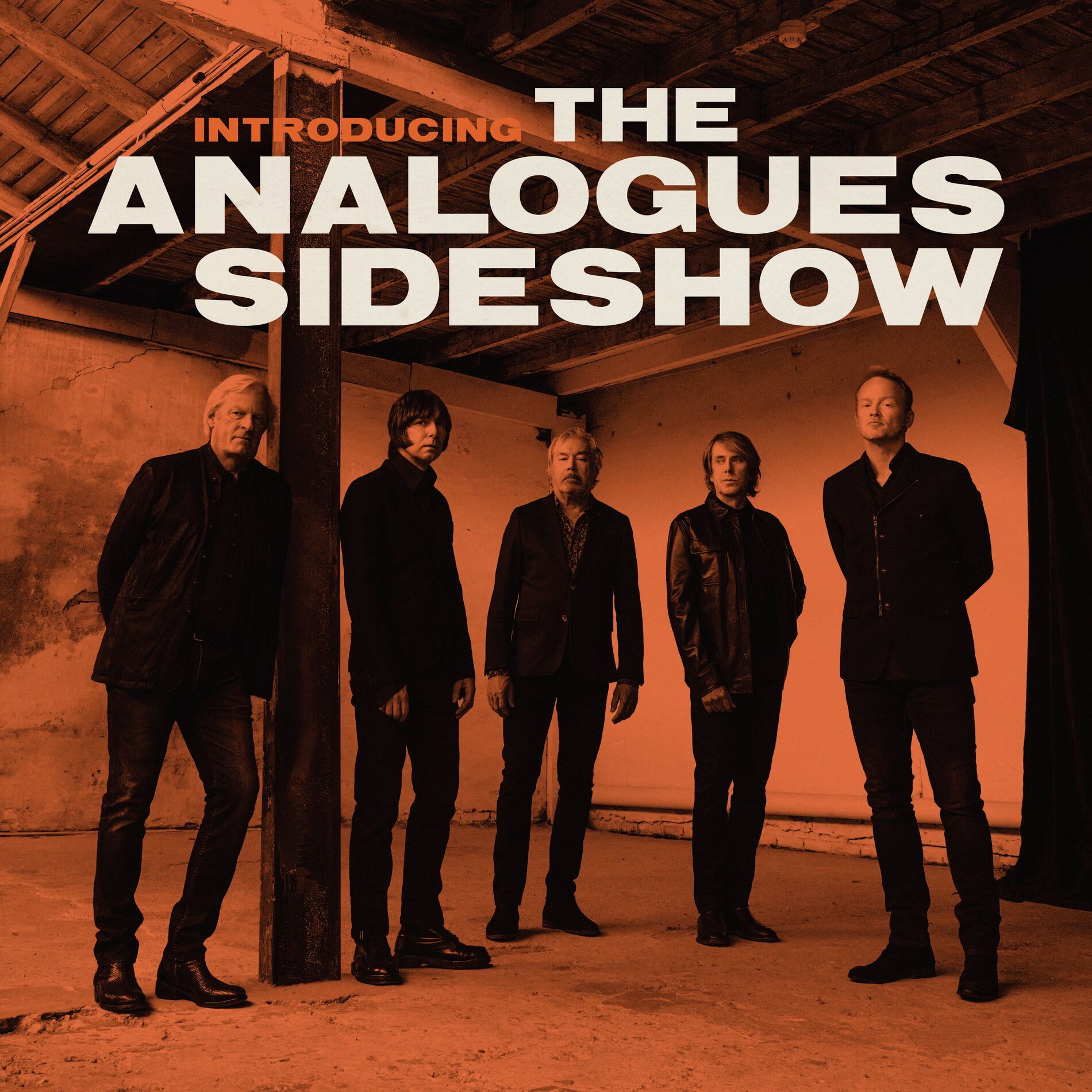 Album cover of Introducing The Analogues Sideshow