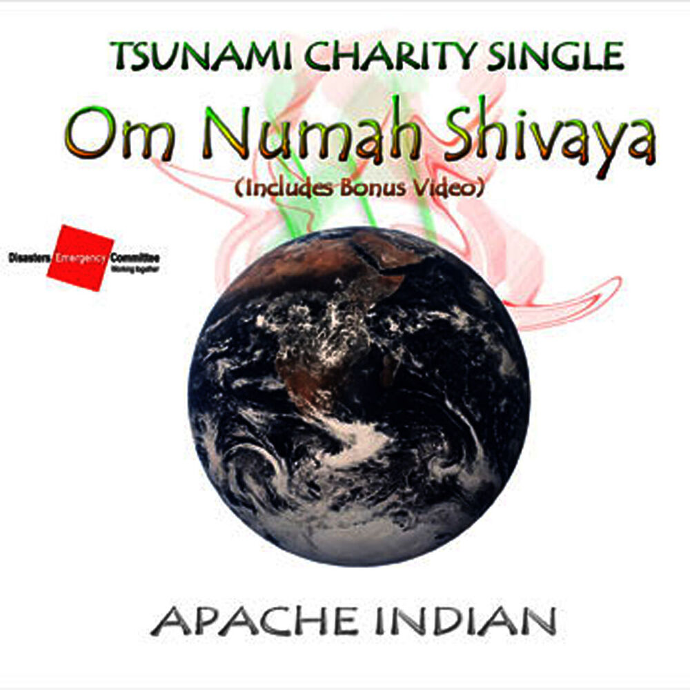 Picture of Om Numah Shivaya