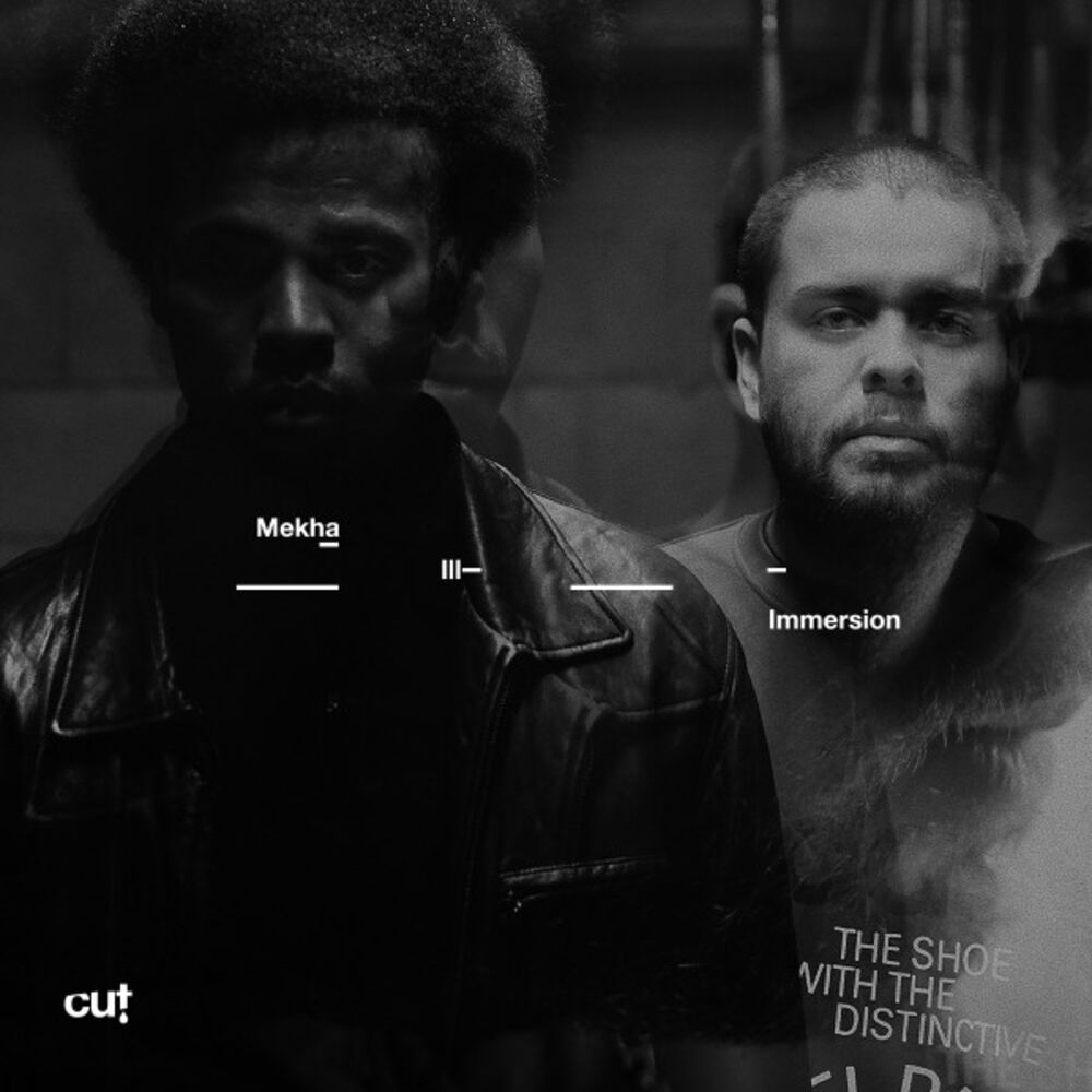 Picture of Immersion LP