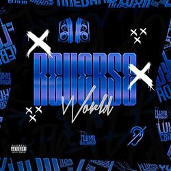 Cover of Reverse World