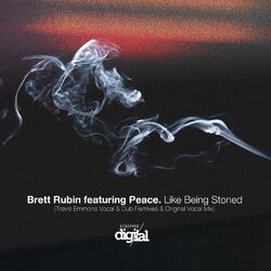 Cover of Like Being Stoned
