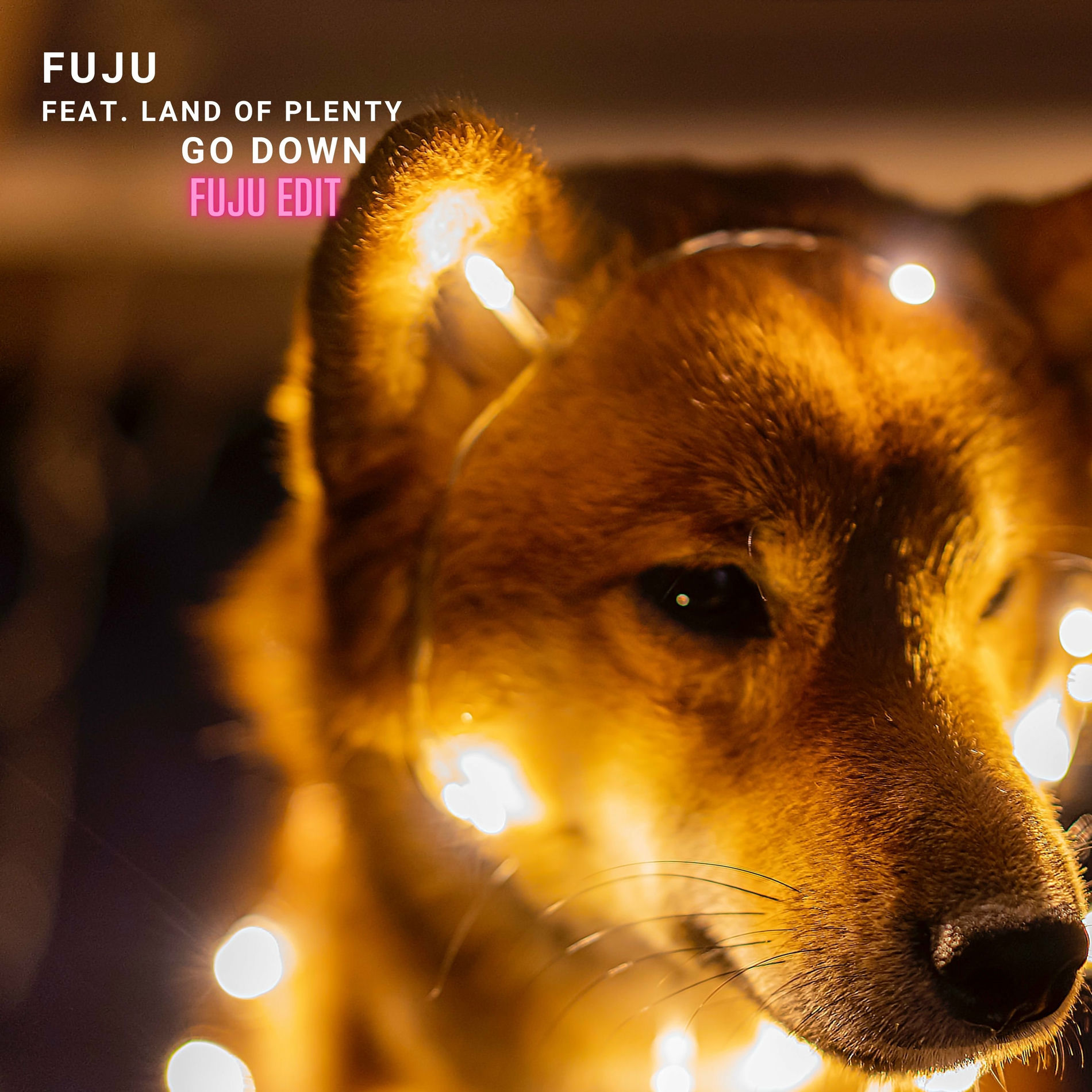 Album cover of Go Down (Fuju Edit)