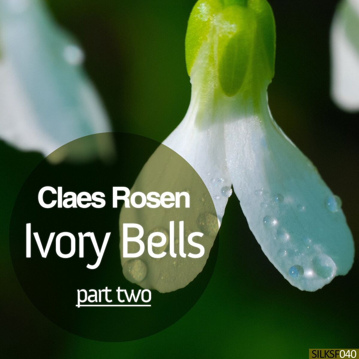 Album cover of Ivory Bells, Pt. 2