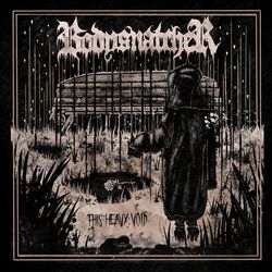 Cover of This Heavy Void