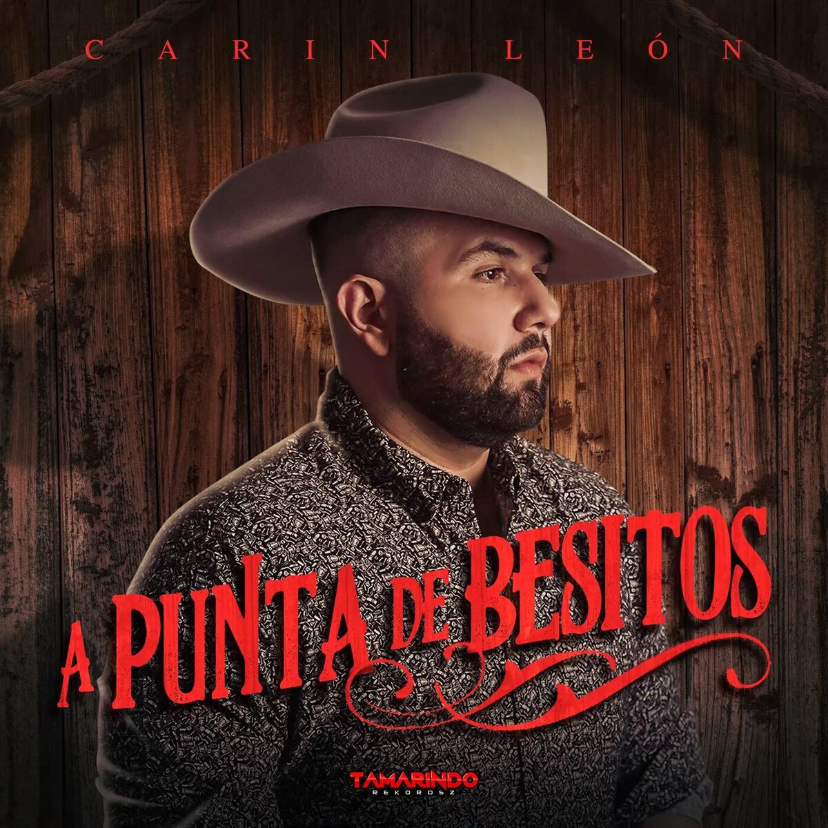 Album cover of A Punta De Besitos
