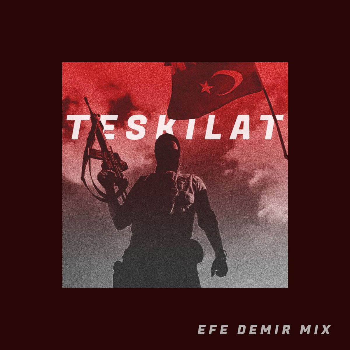 Album cover of TEŞKİLAT