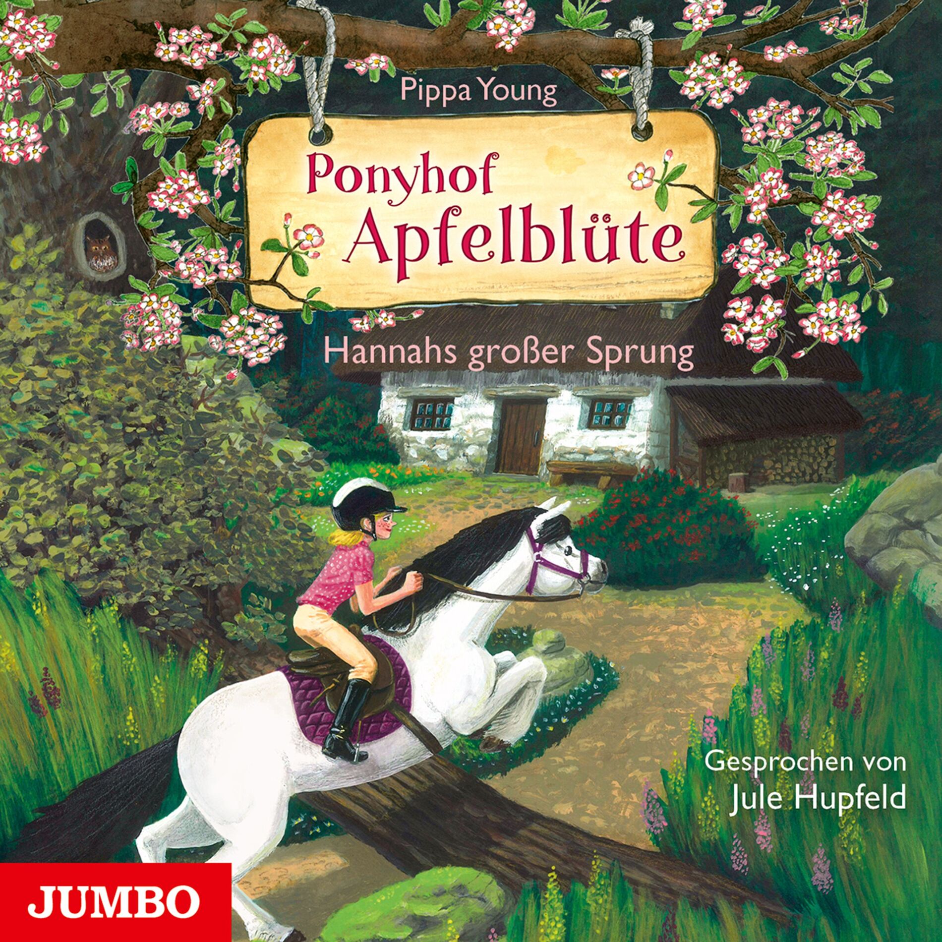 Album cover of Ponyhof Apfelblüte. Hannahs großer Sprung [Band 24]