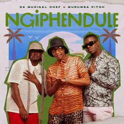 Cover of Ngiphendule