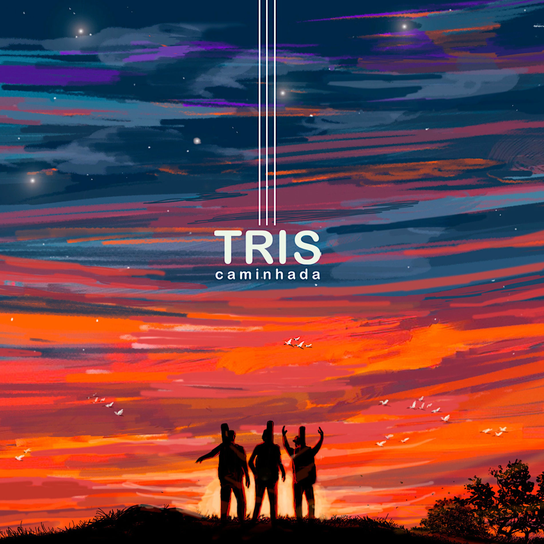 Album cover of Caminhada