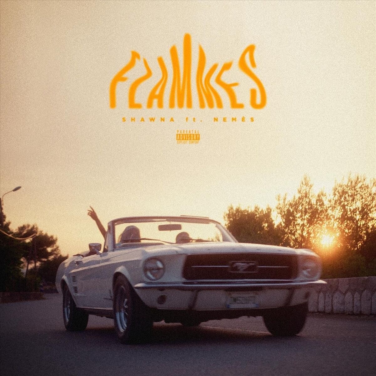 Album cover of Flammes