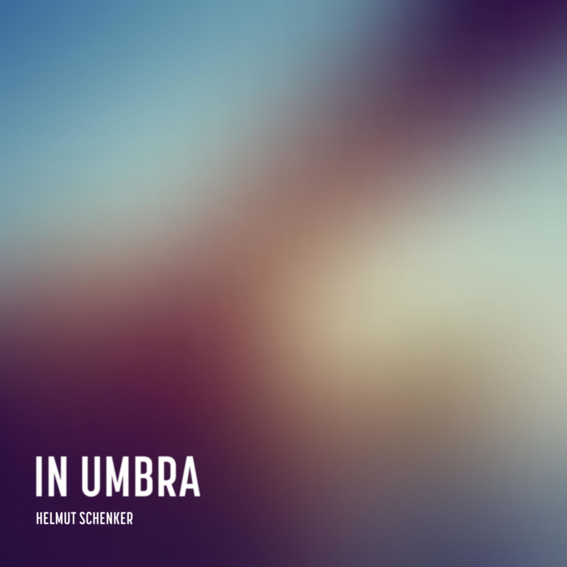 Album cover of In Umbra
