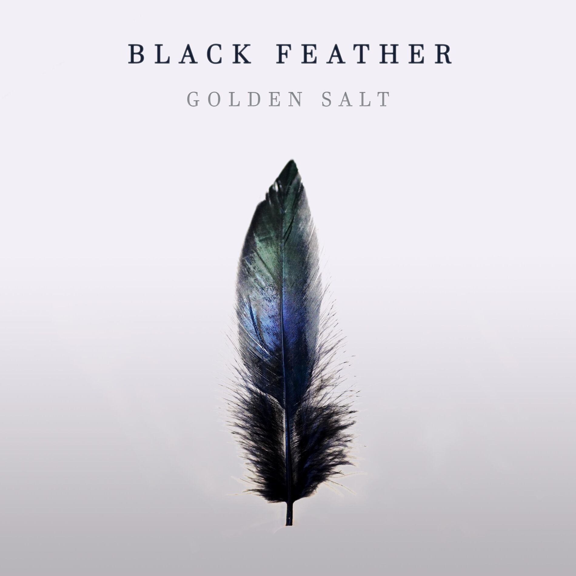 Album cover of Black Feather