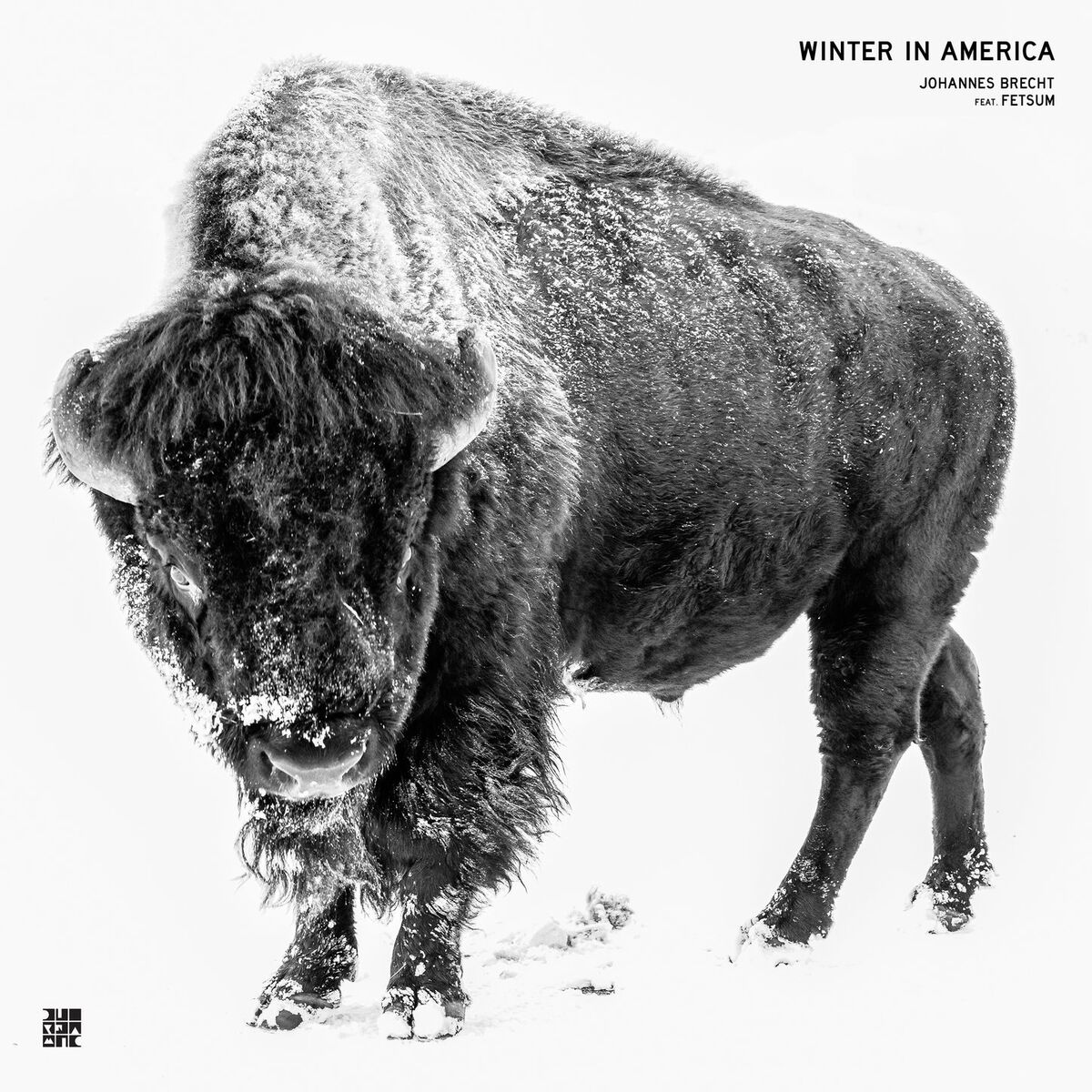 Album cover of Winter in America