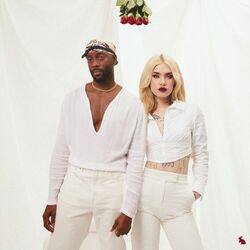 Cover of follow the white rabbit