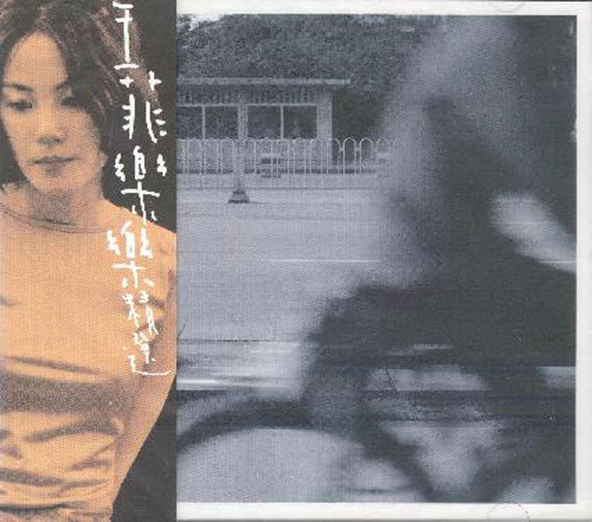 王菲- 樂樂精選| Deezer