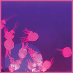 Cover of Moogie